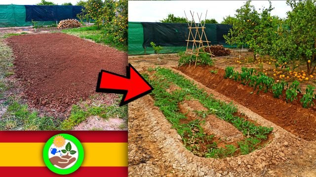 PREPARACIÓN del HUERTO (Labrar + Abonar + Surcos o Caballones) “Agricultura de Autoconsumo”