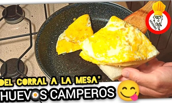 “Del Corral a tu Mesa” La TORTILLA más DELICIOSA con auténticos HUEVOS CAMPEROS by mixim89